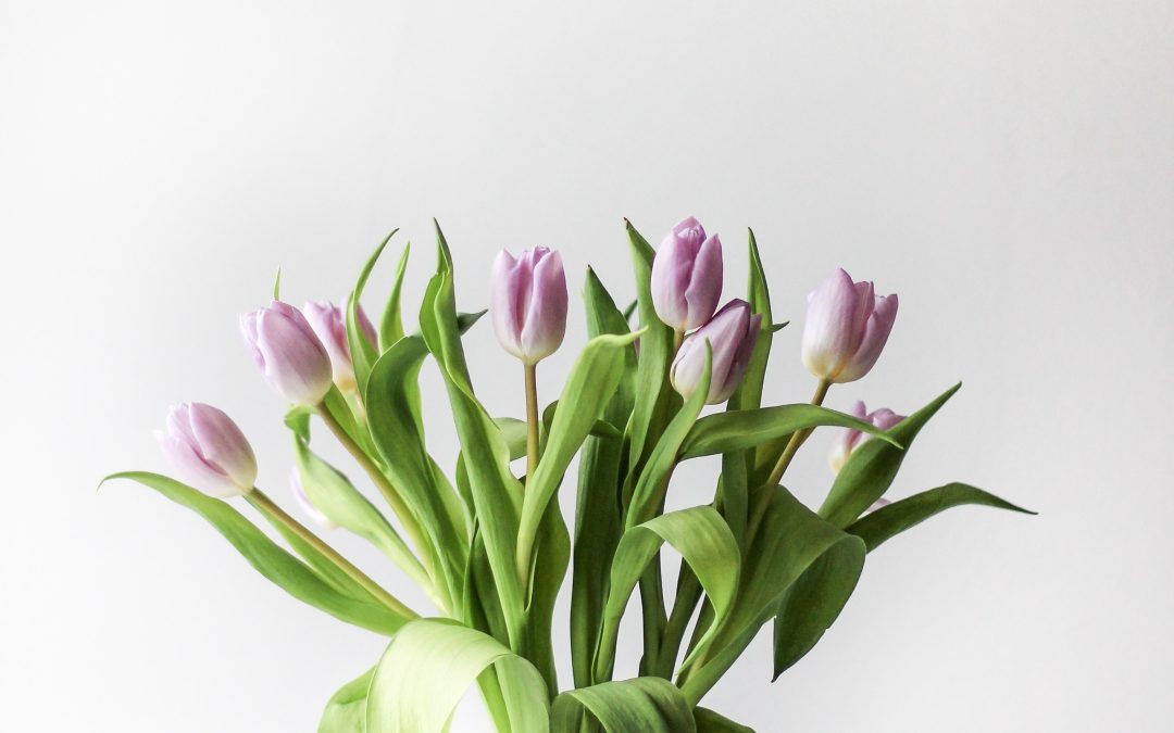 TULIPS ARRANGEMENT (10 Stem) (Delivery charge included in price)