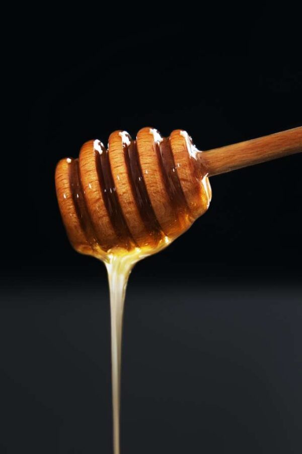 ElderHoney: Cough & Throat Wellness Syrup 13 OZ - Image 2